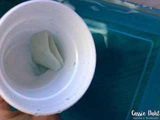 This fun hands-on science experiment is sure to fool some of your students. Use this simple cup and water experiment to prove that gases really do have mass. It is the perfect addition to any Matter Unit! 